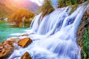 ALL DECORATIVE DESIGN Nature Multicolor Wallpaper