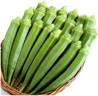MKR Enterprises Okra Seed