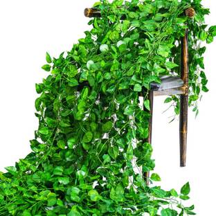 Saikara Collection Artificial Hanging Money Plant Bail for Outdoor, Indoor, Home, Office, Balcony Artificial Plant