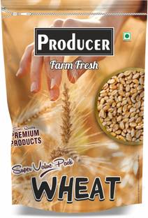 PRODUCER Whole Wheat Grain Direct From Farm, Sharbati, 7kg Whole Wheat
