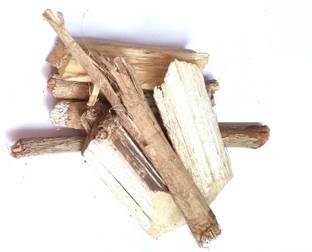VINARGHYA Arandi Mool Mul / Castor Plant Root / Ricinus Communis / Erandi Jad / Erandela
