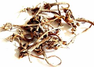 Xetomos Akarkara Anacyclus Pyrethrum Pellitory Root 100gm seeds Seed