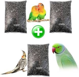 Parrots Wizard Small size Strip Sunflower seeds 3 pack 2.7 kg Dry New Born, Young, Adult Bird Food