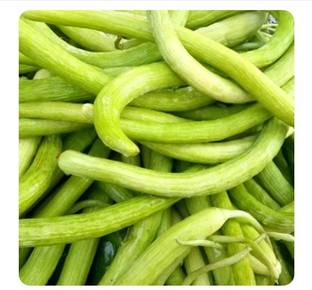 GOROOT Armenian Long Cucumber / Snake Cucumber-SD-120-C4 Seed