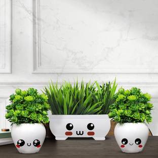 Kawai Homes Artificial Plant in White Pot for Home /Dinning / Living Room Decoration Combo 3 Bonsai Artificial Plant  with Pot