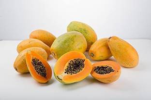 MKR Enterprises Papita Seed