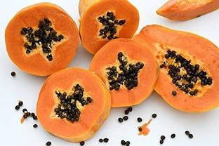 MKR Enterprises Papita Seed