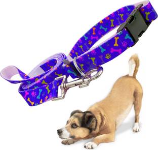 Jainsons Pet Products 150 cm Dog Strap Leash