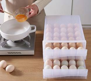 Trendegic Plastic Egg Container  - 5 dozen