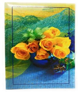 Cute Shopping Network Designed High Quality Photo Album with Extra Clear PVC Film, 100 Photos, (Photo Size Supported: 4x6 Inch) Album