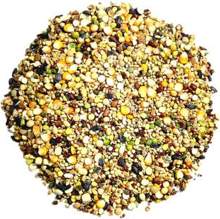 Sky Multi Seeds Natural Birds Foods for cockatiel, Parrots, Budgies,all Birds Nuts 1 kg Dry Young, Adult Bird Food