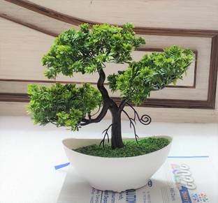 ductor Artificial Tree Plant with Pot Unique design for Home, office decoration|H~24cm Bonsai Wild Artificial Plant  with Pot