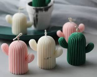 SAPI'S Cactus Candle, Vanilla, Lemon Grass & Strawberry Scented Candle