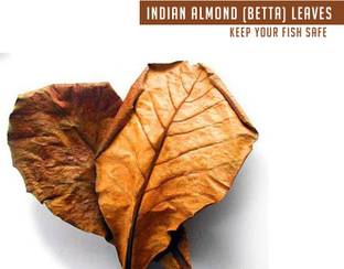 Aadhiyogi ayurvedha Almond Leaves Aquarium Fish Food Natural Dried Leaves Aquatic Plant Fertilizer Aquatic Plant Fertilizer