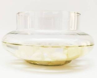 Virya Beautiful Clear Glass Pot for Lucky Bamboo Plant/ Money Plant (Without Plants) Plant Container Set