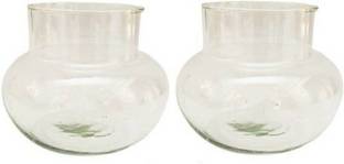 Virya Beautiful Clear Glass Pot for Lucky Bamboo Plant/ Money Plant (Without Plants) Plant Container Set