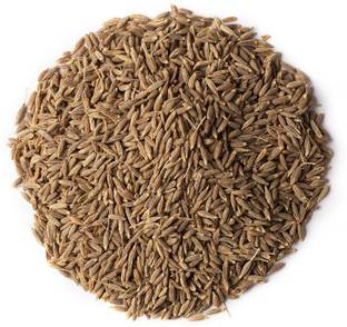 Nutiva JEERA SAFED, JIRA WHITE, CUMINUM CYMINUM, CUMIN SEEDS Seed