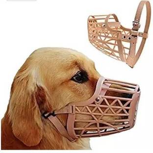 Foodies Budy FOODIES BUDY SMALL03 Plastic Training Aid For Dog