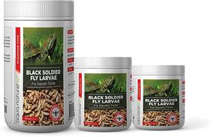 Aquanature Dried Black Soldier Fly Larvae Food For Turtle (80G) 0.8 kg Dry Adult, New Born, Senior, Young Turtle Food