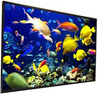 royality 72 inch 16:9 HD Projector Screen, Anti-Crease Foldable Portable, white matt Projector Screen (Width 63 cm x 35 cm Height)