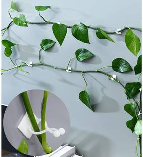 PRM Plant Climbing Wall Fixing Clip|Indoor Cable tie Clip|self-Adhesive Hook|white| Seed