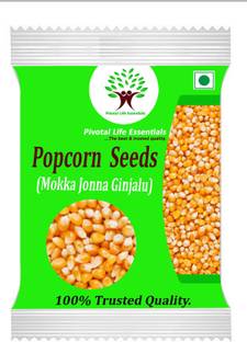 Pivotal Life Popcorn Kernals NA Popcorn