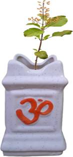 OriginalCeramics Small Shri Tulsi Shaped Ceramic Pot Plant Container Set