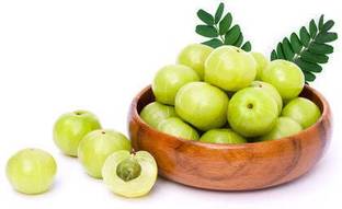 EarthAngel Amla Plant