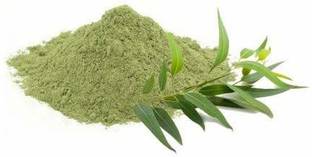 SS520 100% Nuture Eucalyptus Leaves Powder Nilgiri patte ka powder (50g)