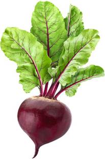 Paudha Beetroot plant Seed