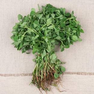 XOLDA Methi Seed