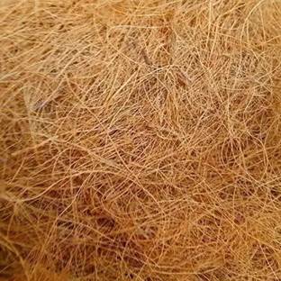 GO7 Coco Fibre nesting Material (100Gram) Bird House