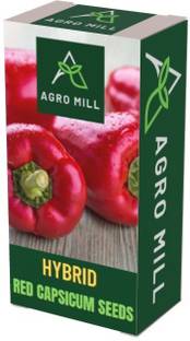 AGRO MILL RED CAPSICUM/LAL SHIMLA MIRCH/BELLPEPPER FOR KITCHEN GARDEN Seed