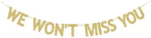 Festiko We Won't Miss You Gold Gliter Paper Banner, Farewell/Goodbye/Job Changing/Bye Fe Banner