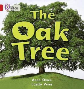 The Oak Tree