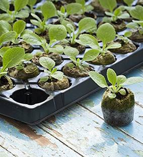HOIVA Coir Seedling Coins Coco-peat ( Pack of 140) Netted Coin Potting Mixture