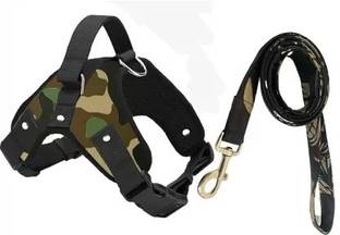 Hundur Store Dog Harness & Leash