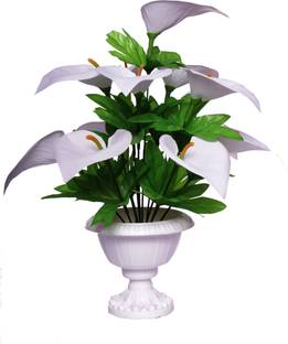 CHAUDHARY FLOWER S12-LJG-F1W-W3W White Anthurium Artificial Flower  with Pot