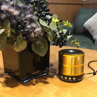 RHONNIUM WS-887 Wireless Bluetooth-Outdoor Speaker-SpK-235 10 W Bluetooth Speaker