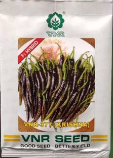VNR VNR Chilli Seed Seed