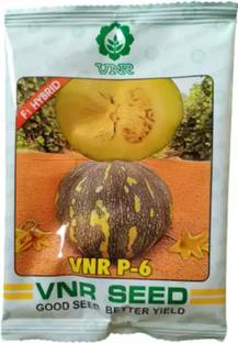 VNR VNR P-6 Seed (50 g) Seed