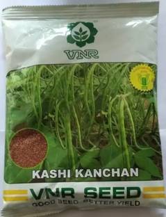 FRESHO VNR BODA Seed (1 kg) Seed
