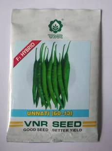 VNR F1 Hybrid Chilli Seeds, Mircha Seed (1000 per packet) Seed