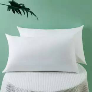 DOMAINSTAR Cotton Sleeping Pillow Pack of 2 Solid