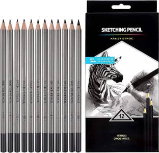 DEZIINE 12 pcs Sketching Pencils(10B,8B,6B,5B, 4B,3B,2B,B,HB,2H,4H,6H)Graphite Pencils Pencil