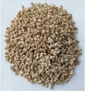 MAA Mushroom Seed