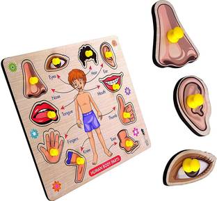 GREST Mini Wooden Human Body Parts Puzzle with Knobs, Learning Game For Kids