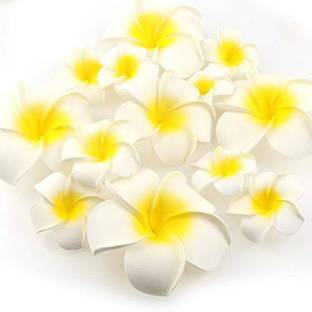 SHIVAMKRAFT 12 Pcs Artificial White Fake Foam Hawaii Frangipani Beach Floating Flowers White Frangipani Artificial Flower