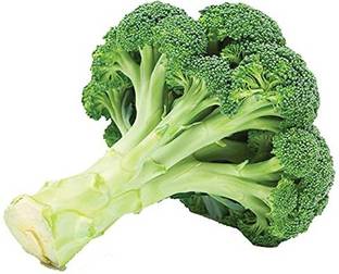CYBEXIS NDIR-34 - Green Broccoli - (150 Seeds) Seed