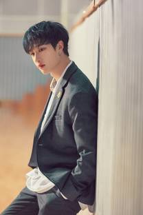 Bang Chan Stray Kids South Korean Boy Band Matte Finish Poster Paper Print